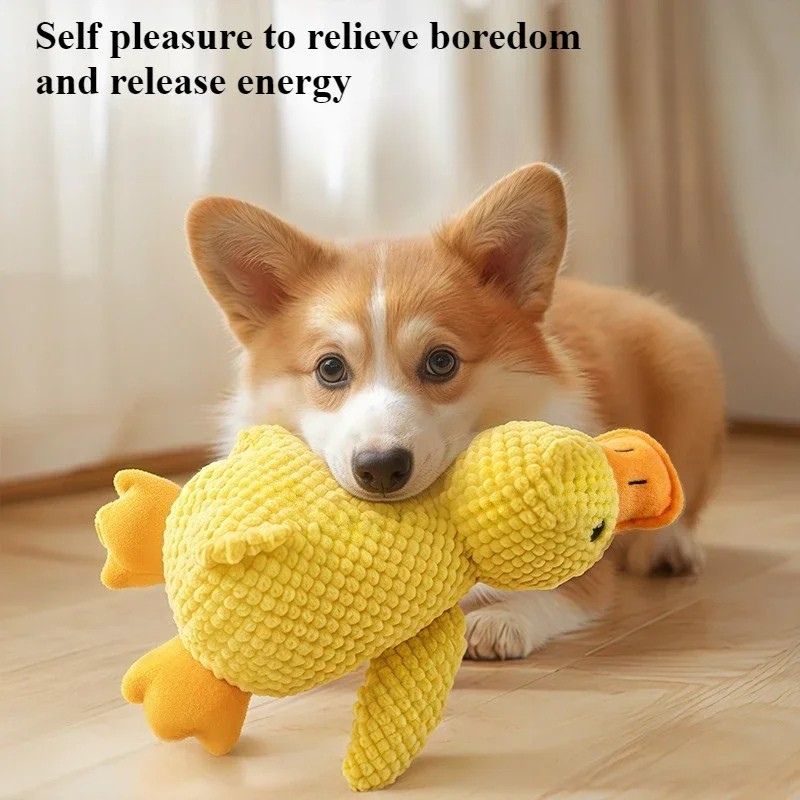 Dogsqueaktoys - Cuddly Companion & Dog Toy