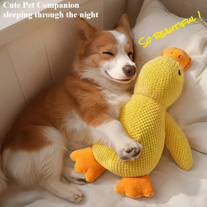 Dogsqueaktoys - Cuddly Companion & Dog Toy